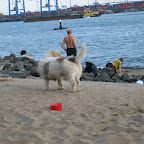 IMG_6840.JPG