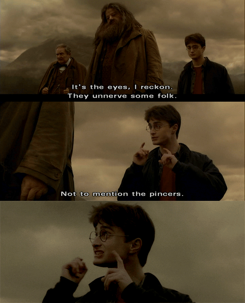 [tumblr_l9hiyfYnkR1qbqbj4o1_500%255B3%255D.gif]
