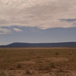 View album