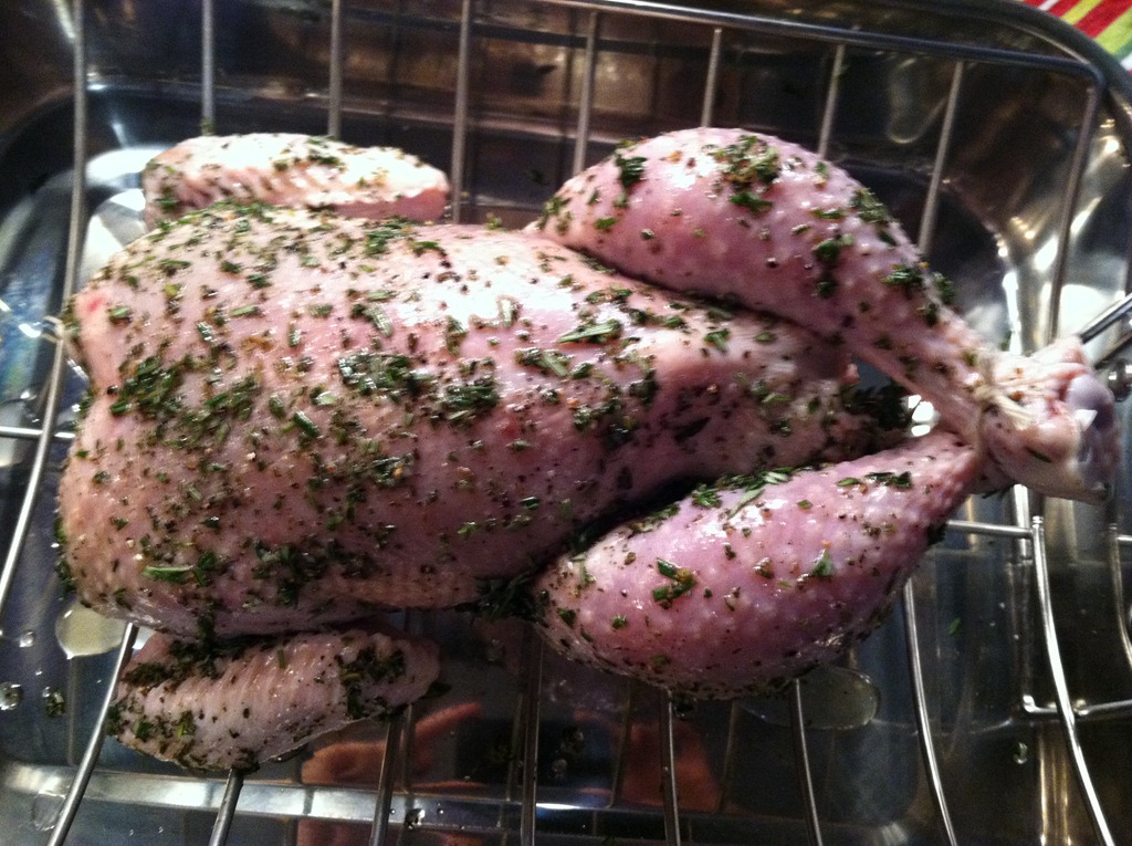 [chicken%2520before%255B4%255D.jpg]