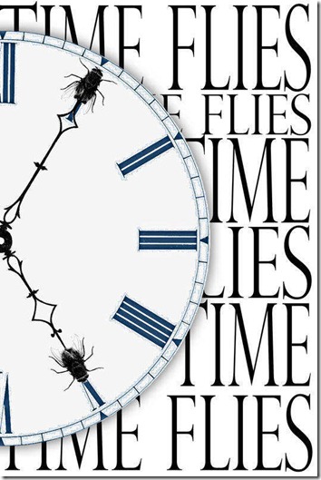 time flies poster