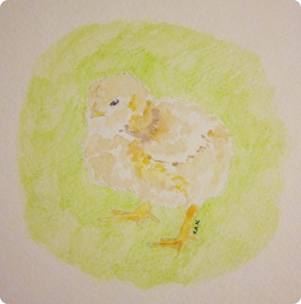 little chick 006