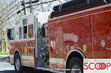 Car Into Pole In Front Of 164 East Eckerson Rd - DSC_0039.JPG