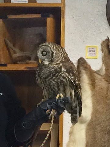 [IMG_1613%255B2%255D.jpg]