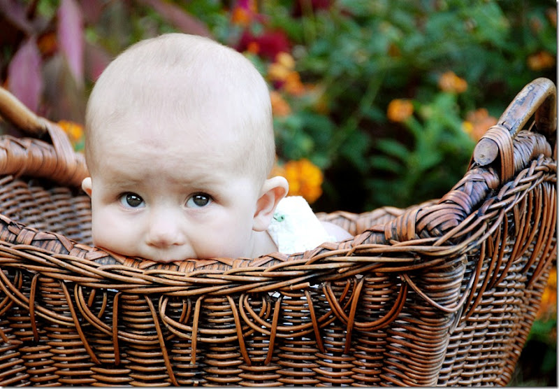 J eating basket1