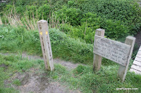 IMG_9304.JPG Photo