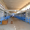 superleite2011_dia1507_50.JPG