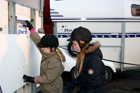 Gr&ouml;nt kort kurs januari 2012