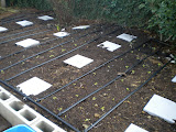 Beds in the back planted with Cabbage so far.