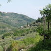 caravonica 1 (12).JPG