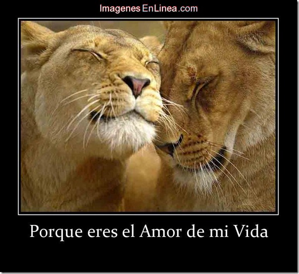 amor de mi vida (1) amor de mi vida (1)