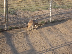 IMG_8638 IMG_8638