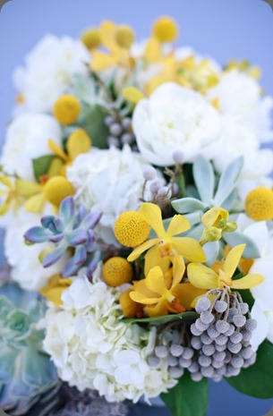 belmont2 bows and arrows