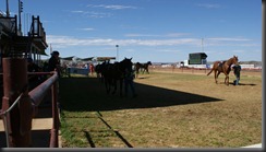 at the races 068