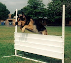 Boreas working the High Jump