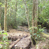 The river near the start of the hike to Sibuatan (Daniel Quinn, August 2011)