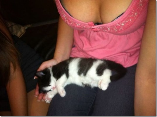 viral-picdump-pics-08109f