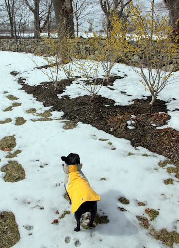 Now here's something that matches our coats!