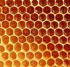 [honeycomb5.jpg]