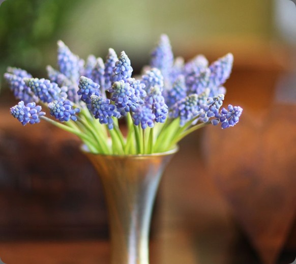 florali1 florali1