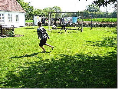 IMG_7372 IMG_7372