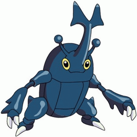 Heracross Heracross