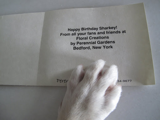 And just look what the card says.  How did thy know it was my birthday?
