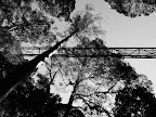 P1020102.JPG