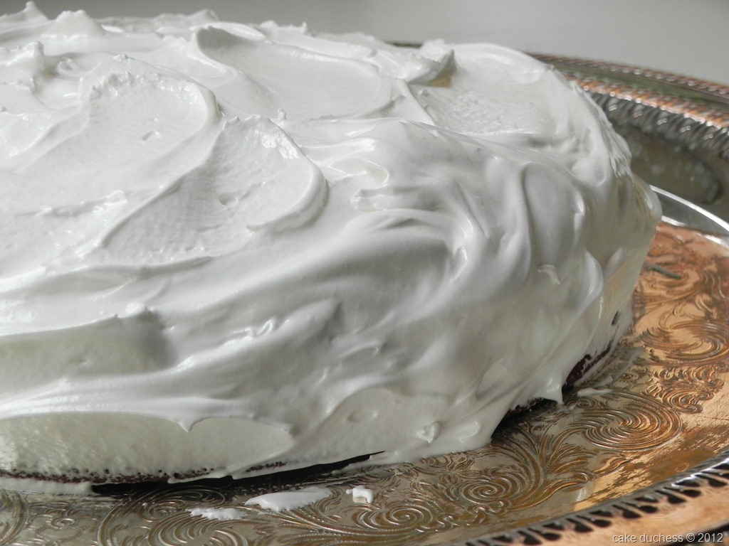[mary-carol-battles-wacky-cake-with-seven-minute-icing-1%255B6%255D.jpg]
