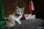 Our house mate