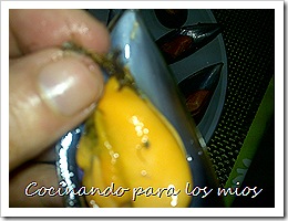 091220112012 - copia 091220112012 - copia