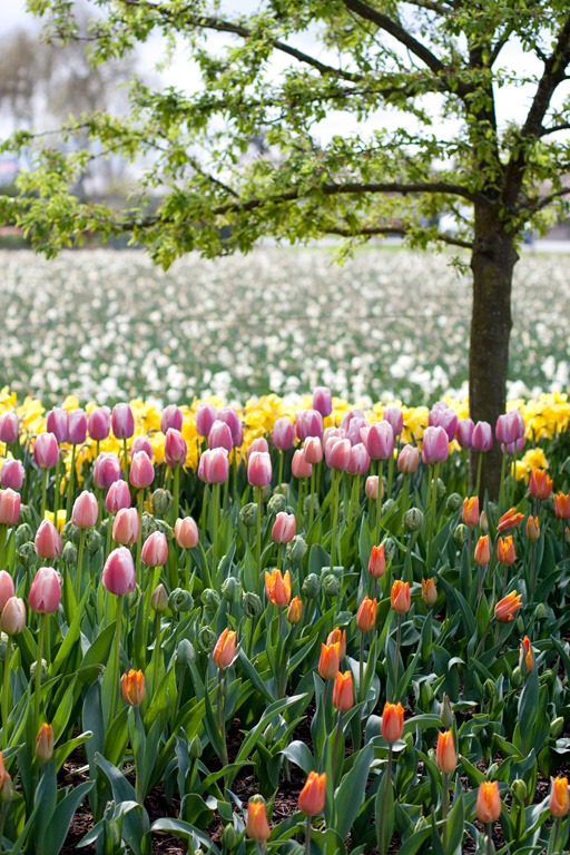 [20130415-IMG_80543.jpg]