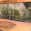 SDC12192.JPG