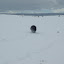 DSC_9903.JPG