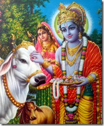 Lord Krishna with cows