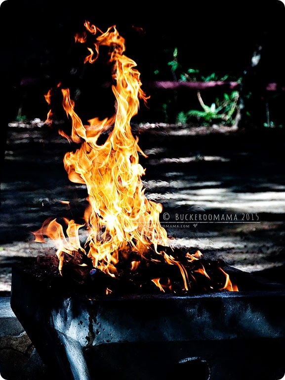 Fire-(1) Fire-(1)