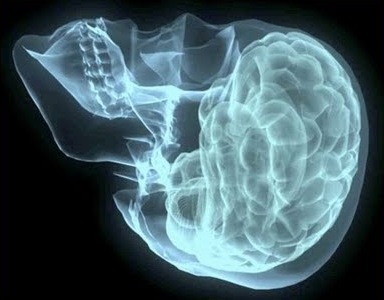[body%2520and%2520mind%2520nervous-system-diseases.com%2520WQ%255B4%255D.jpg]