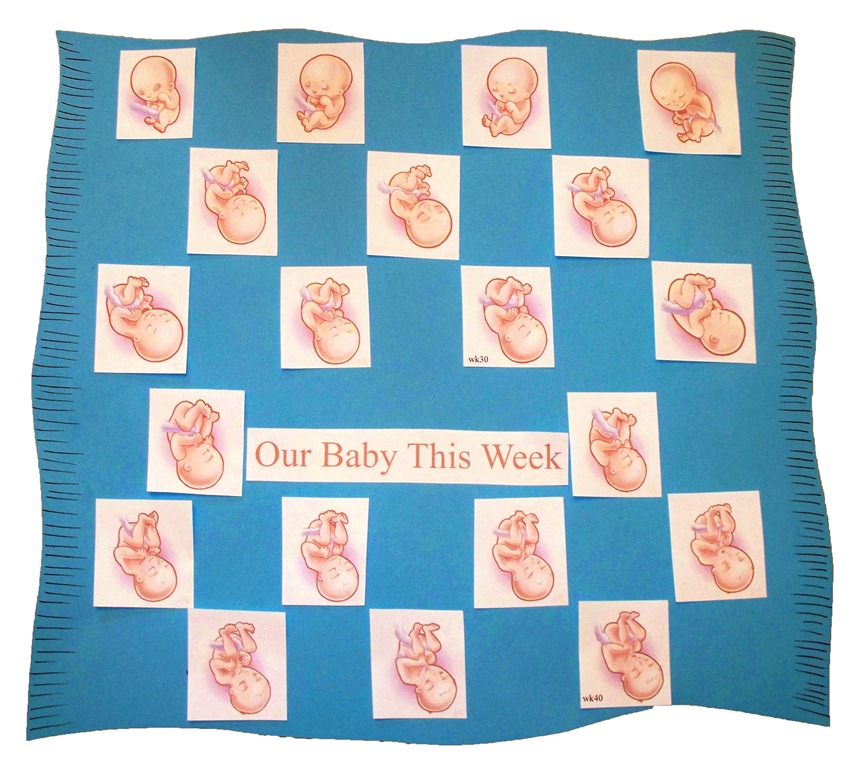 [Pregnancy%2520Calendar%2520for%2520Kids%2520wk21-40%255B4%255D.jpg]
