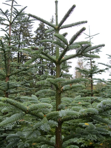 [11-11-12-09-56-18H%255B3%255D.jpg]