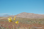 Ruta Costera Desierto Atacama
