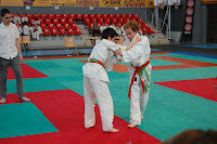 DSC_0074.JPG