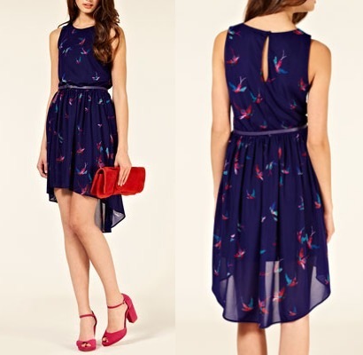 [Oasis%2520darkpurple%2520bird%2520diphem%255B3%255D.jpg]