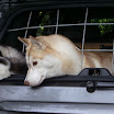 Prüfung 2011 046.jpg