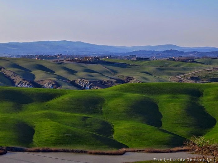 Crete Senesi