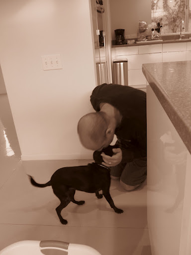 The joyful way our animal companions welcome us home is truly priceless!
