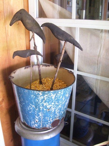 [crows%2520in%2520the%2520corn%255B3%255D.jpg]