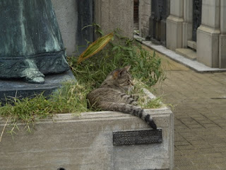 Great spot to get a snuggle, rub the dogs nose and scratch the cat. The dog is for good luck, the cat is for a warm heart.