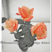 Horticulture 002.jpg