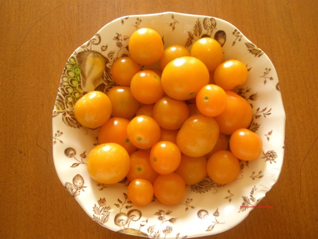 [Sour%2520cherryies%2520tomatoes%255B4%255D.jpg]