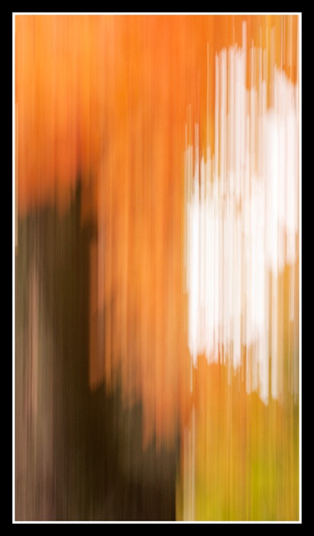 [web_IMG_6254%255B4%255D.jpg]